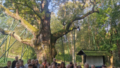 Góry Świętokrzyskie mogą oczarować